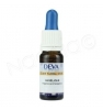 Elixir Floral Angélique Deva Laboratoire