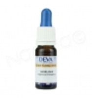 Elixir Floral Angélique Deva Laboratoire