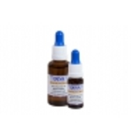 Elixir Floral Bach Bourgeons De Marronnier Deva Laboratoire