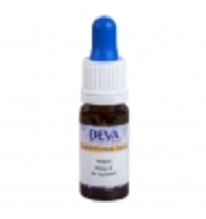 Elixir Floral Bach Houx Deva Laboratoire