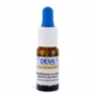 Elixir Floral Bach Marronnier Blanc Deva Laboratoire