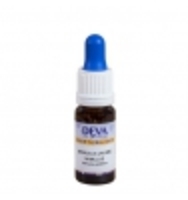 Elixir Floral Bach Mimulus Jaune Deva Laboratoire