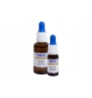 Elixir Floral Bach Moutarde Deva Laboratoire