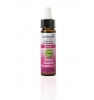 Elixir Floral Bio Charme N° 6 Ladrome