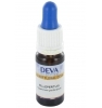 Elixir Floral Millepertuis Deva Laboratoire