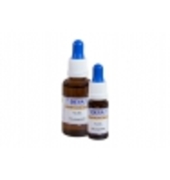 Elixir Floral Tilleul Deva Laboratoire