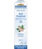 Elixir Red Chesnut n°25 Marronnier rouge Biofloral