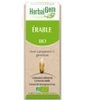 Erable bio Flacon compte gouttes Herbalgem Gemmobase