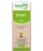 Erable bio Flacon compte gouttes Herbalgem Gemmobase