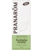 Eucalyptus citronné Bio Flacon compte gouttes Pranarom