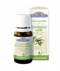 Eucalyptus Radié Biofloral