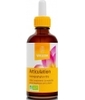 Extrait de plantes bio Articulation Harpagophytum Weleda