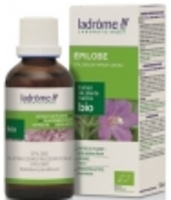 Extrait de Plantes Fraîches Epilobe bio Ladrome