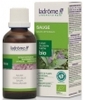 Extrait de plantes fraîches Sauge bio Ladrome