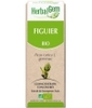 Figuier bio Flacon compte gouttes Herbalgem Gemmobase