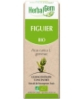Figuier bio Flacon compte gouttes Herbalgem Gemmobase