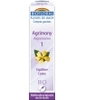 Fleur De Bach Elixir Agrimony n°1 Aigremoine Biofloral