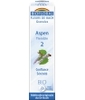Fleur De Bach Elixir Aspen n°2 Tremble en granules Biofloral