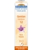 Fleur De Bach Elixir Gentian n°12 Gentiane Biofloral