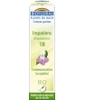Fleur De Bach Elixir Impatiens n°18 Impatience Biofloral