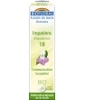 Fleur De Bach Elixir Impatiens n°18 Impatience en granules Biofloral