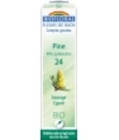 Fleur De Bach Elixir Pine n°24 Pin sylvestre Biofloral