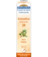 Fleur De Bach Elixir Scléranthus n°28 Scléranthe Biofloral