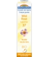 Fleur De Bach Elixir Wild Rose n°37 Eglantier Biofloral