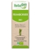 Framboisier bio Flacon compte gouttes Herbalgem Gemmobase