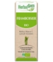 Framboisier bio Flacon compte gouttes Herbalgem Gemmobase
