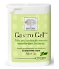 Gastro Gel 30 comprimés à New Nordic