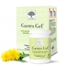 Gastro Gel 60 comprimés à New Nordic