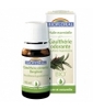 Gaultherie odorante bio Biofloral