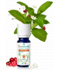 Gaulthérie BIO Puressentiel