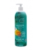 Gel douche Mangue format familial 1 Bio Seasons