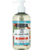 Gel lavant mains à la pomme bio Coslys