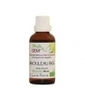 Gemmo Bouleau Blanc Phytofrance
