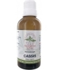 Gemmo Bourgeons de Cassis Herboristerie De Paris