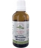 Gemmo Silhouette Minceur Herboristerie De Paris
