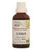 Gemmo Sorbier Phytofrance