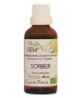 Gemmo Sorbier Phytofrance