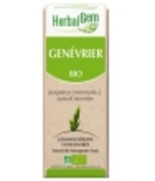 Genévrier bio Flacon compte gouttes Herbalgem Gemmobase