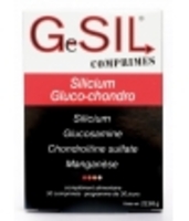 GeSil Articulations 30 Aquasilice