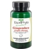 GINGEMBRE 90 Esprit phyto