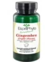 GINGEMBRE 90 Esprit phyto