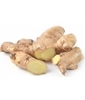 GINGEMBRE RACINE BIO Herboristerie De Paris