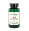 GOJI 120 Esprit phyto