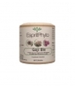 Goji Bio 60 Esprit phyto
