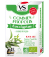 Gomme propolis Eucalyptus Vecteur Sante