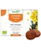 Gommes Chantres Voix enrouée Miel Citron Herbalgem Gemmobase